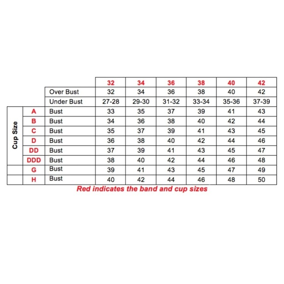 Felina 5894 Harlow Sheer Lace Full Bust Demi Underwire Bra NWT - Picture 9 of 10